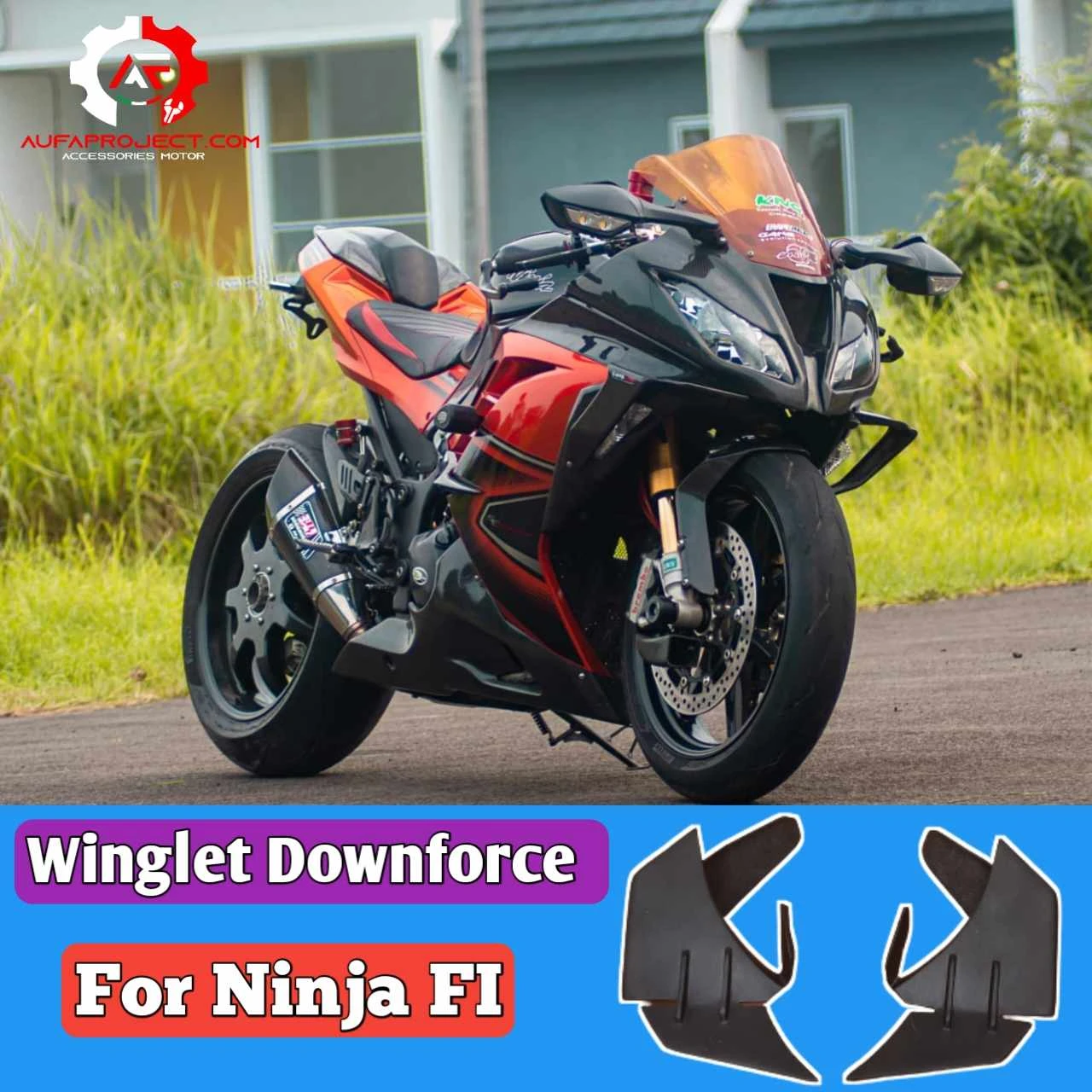 Downforce Atau winglet samping ninja 250 fi