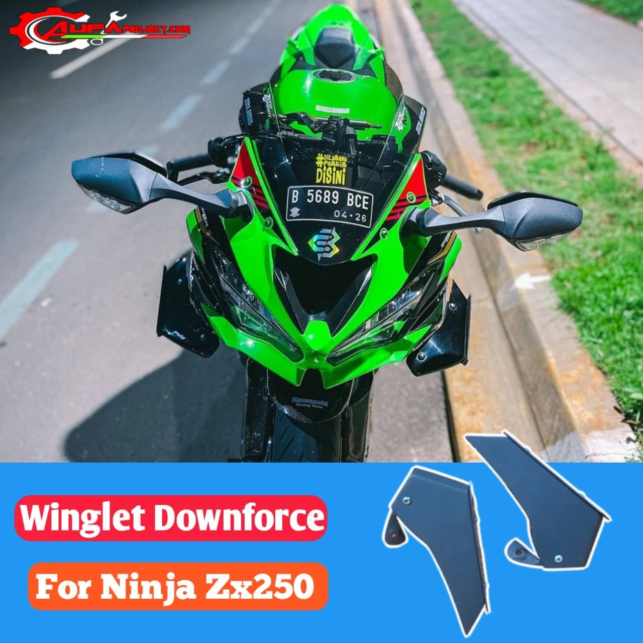 Winglet Ninja Zx25R